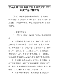 市水务局2022年度工作总结范文和2022年度工作打算范例