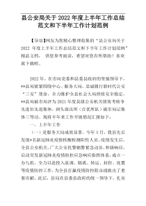 县公安局关于2022年度上半年工作总结范文和下半年工作计划范例