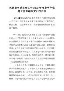 民族事务委员会关于2022年度上半年党建工作总结范文汇报范例