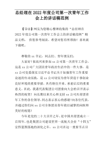 总经理在2022年度公司第一次青年工作会上的讲话稿范例