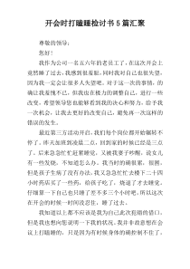 开会时打瞌睡检讨书5篇汇聚