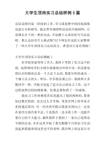 大学生顶岗实习总结样例5篇