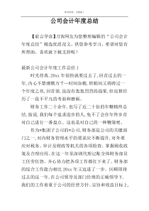 公司会计年度总结