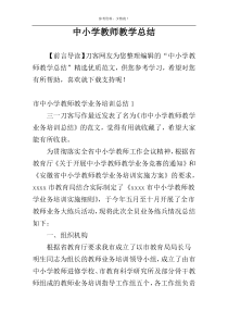 中小学教师教学总结