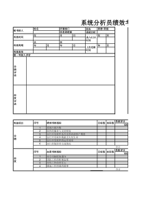 系统分析员绩效考核表