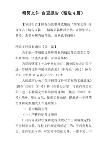 精简文件 自查报告（精选4篇）