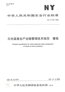 NY∕T 3744-2020 日光温室全产业链管理技术规范 番茄