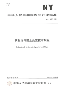 NY∕T 3897-2021 农村沼气安全处置技术规程