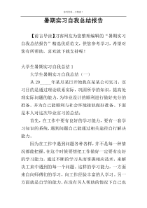 暑期实习自我总结报告