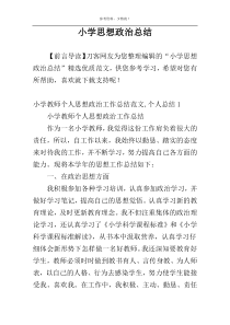 小学思想政治总结