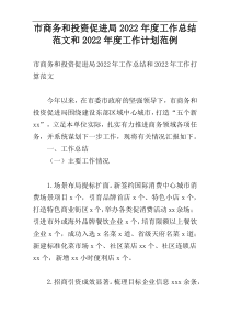 市商务和投资促进局2022年度工作总结范文和2022年度工作计划范例