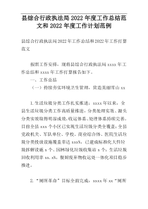 县综合行政执法局2022年度工作总结范文和2022年度工作计划范例