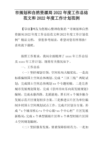 市规划和自然资源局2022年度工作总结范文和2022年度工作计划范例_1