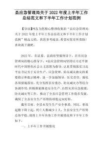 县应急管理局关于2022年度上半年工作总结范文和下半年工作计划范例