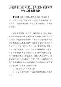 乡镇关于2022年度上半年工作情况和下半年工作安排范例