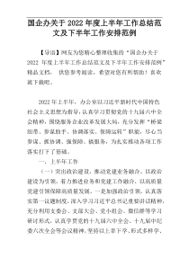 国企办关于2022年度上半年工作总结范文及下半年工作安排范例