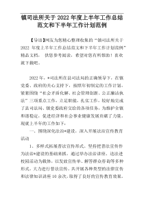 镇司法所关于2022年度上半年工作总结范文和下半年工作计划范例