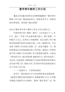 数学青年教师工作计划