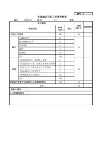 通威集团CI委各岗位年度考核表