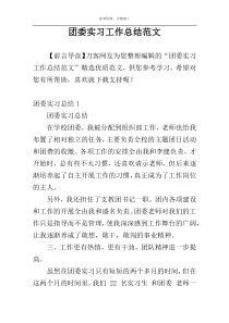 团委实习工作总结范文