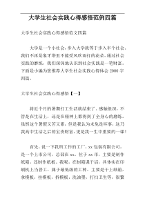 大学生社会实践心得感悟范例四篇