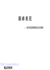 颠峰表现——如何实现高绩效的五项准则