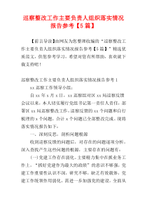 巡察整改工作主要负责人组织落实情况报告参考【5篇】