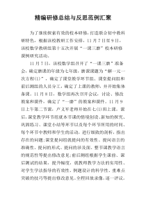 精编研修总结与反思范例汇聚