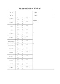 高层经理绩效评价样表（综合素质）