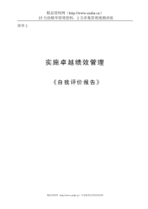 【实施卓越绩效管理《自我评价报告》】（DOC30页）(3)