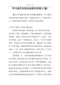 学习委员自我总结报告范例(2篇)