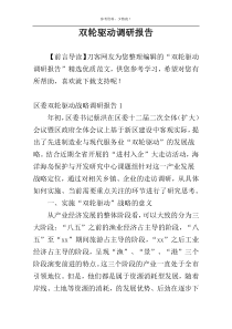 双轮驱动调研报告