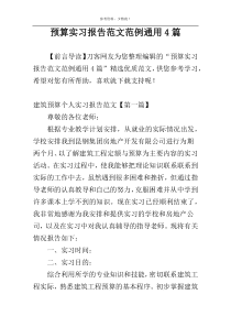 预算实习报告范文范例通用4篇