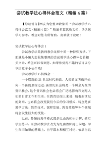 尝试教学法心得体会范文（精编4篇）