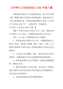 公司审计工作总结范文2022年度八篇