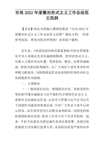 市局2022年度整治形式主义工作总结范文范例