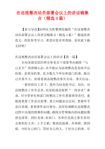 在巡视整改动员部署会议上的讲话稿集合（精选4篇）