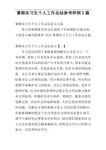 暑期实习生个人工作总结参考样例5篇