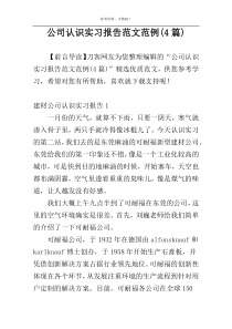 公司认识实习报告范文范例(4篇)