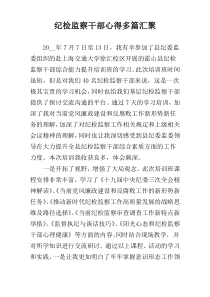 纪检监察干部心得多篇汇聚