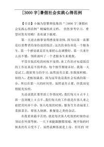 [3000字]暑假社会实践心得范例