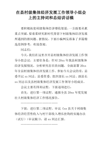 在县村级集体经济发展工作领导小组会上的主持词和总结讲话稿