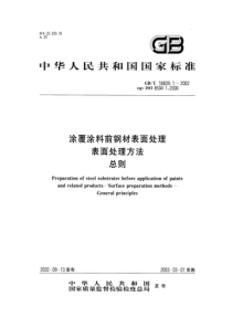 GBT 18839.1-2002 涂覆涂料前钢材表面处理 表面处理方法 总则