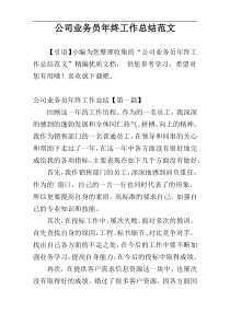 公司业务员年终工作总结范文