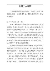 公司个人总结