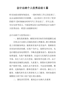 会计出纳个人优秀总结5篇