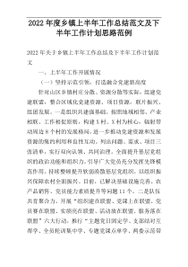 2022年度乡镇上半年工作总结范文及下半年工作计划思路范例