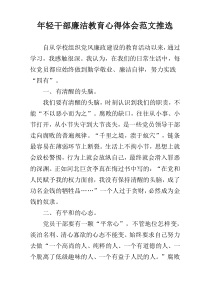 年轻干部廉洁教育心得体会范文推选