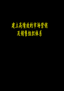 建立高绩效的市场营销及销售组织体系(1)