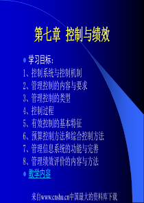 控制与绩效(ppt 65页)(1)